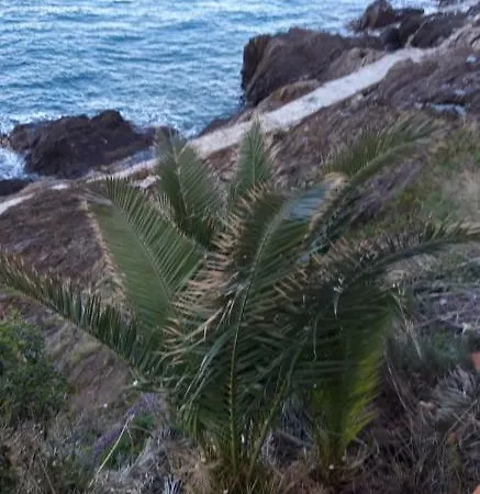 Le Mouret Appartement Collioure